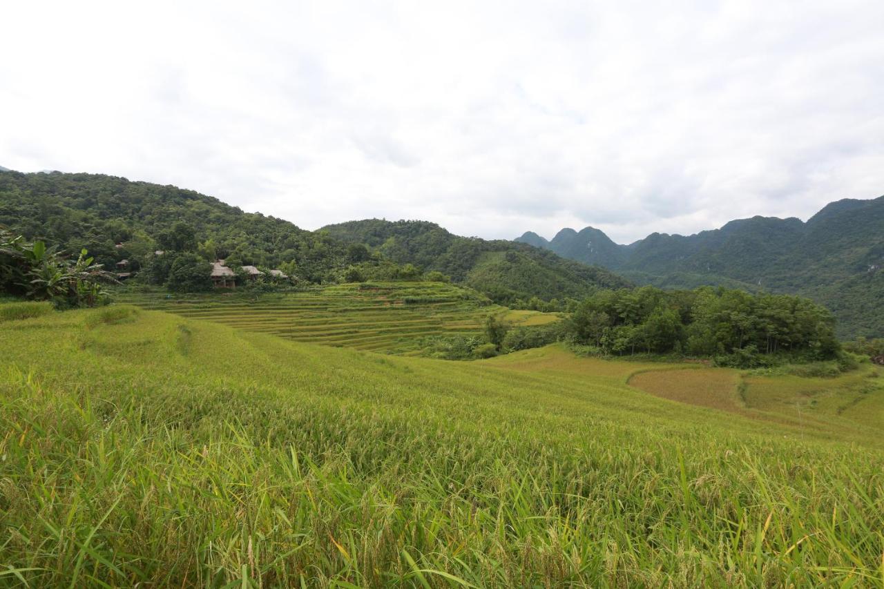 Pu Luong Ecolodge المظهر الخارجي الصورة