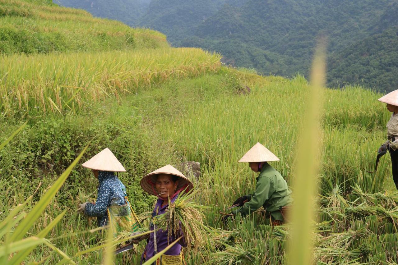 Pu Luong Ecolodge المظهر الخارجي الصورة